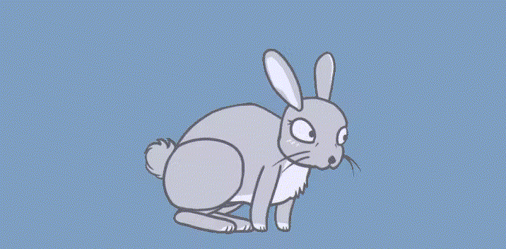 bunny-running-gif